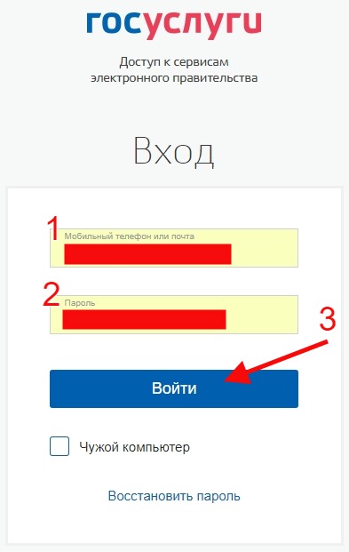 форма авторизации на госуслугах
