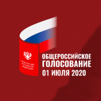 Как проголосовать за поправки в конституцию онлайн?