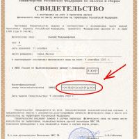 Как получить и узнать ИНН?